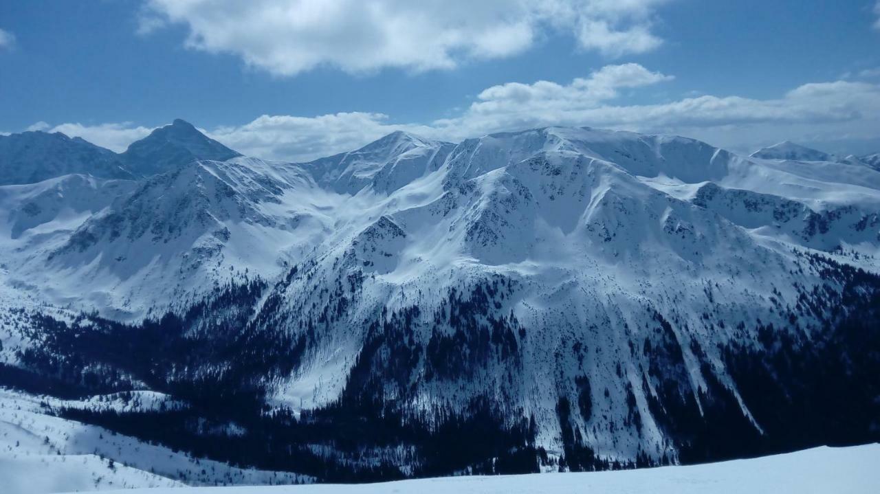 Skalnica Pokoje Goscinne - Sniadania Mozliwe Do Zakupu W Sasiednim Obiekcie Bukowina Tatrzańska Exterior foto